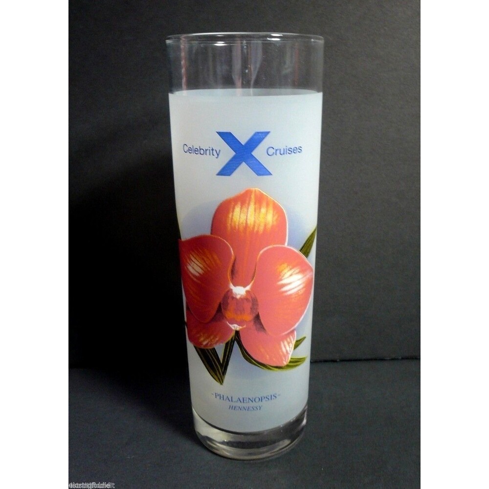 Celebrity Cruises Frosted Bar Glass 7" Tall Highball 3 Drink Recipes on Back